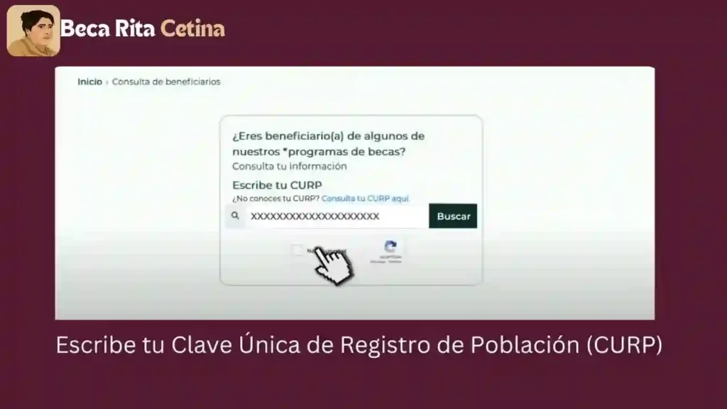 Buscador de Estatus Buscador de Estatus